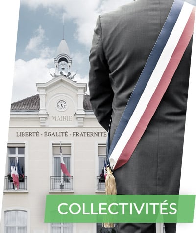 Page Accueil Collectivités - TVF Consulting
